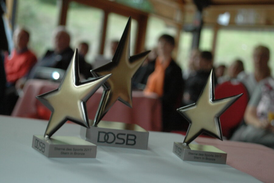 "Großer Stern des Sports" in Bronze geht an Hainichener Karate Club - Die "Sterne des Sports" in Bronze sind am Dienstagabend in Kriebstein verliehen worden.