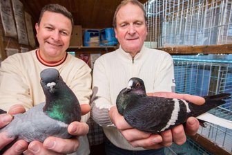 Großrückerswalde startet mit Schau von Rassegeflügel und Rassekaninchen in neues Jahr - Marcel Nestler und Gottfried Schreiter (v. l.) sind auf der „Lipsia- Bundesschau“ Deutsche Meister geworden.