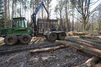 Großschirma: Waldwege im Zellwald wegen Holzernte gesperrt - Die Holzernte an einem Holzlagerplatz im Zellwald im Jahr 2014.