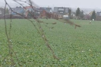 Großschirmas Stadtrat stimmt einem Vertragmit dem Investor zu. Wann können die Häuslebauer loslegen? 