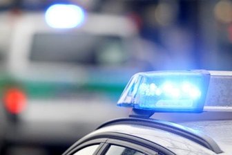 Großzöbern: Pferd auf Koppel getötet -