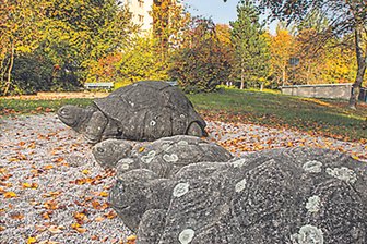 Grün und Platz zum Spielen: Wie sich das Wohngebiet „Sattelgut“ in Flöha verändert - Der sogenannte Schildkröten-Spielplatz im Wohngebiet „Sattelgut“ wird voraussichtlich 2026 neu gestaltet.