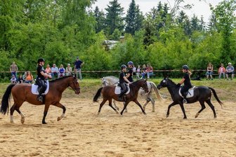 Grünbach: Neuer Reitplatz eingeweiht - Der zum Reitplatz gehörende Verein hat derzeit zwölf Pferde und 50 Mitglieder aller Altersgruppen.