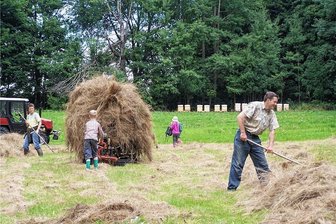 Grüne Aktion lädt zur Exkursion ins Bunte nach Eibenstock ein - GAW-Mitglieder bei der Heu-Ernte auf einer Bergwiese.