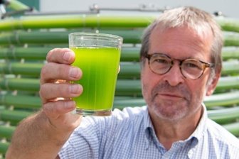 Grüne Algensuppe macht Tiere ruhiger und zufriedener - Dr. Martin Ecke, Fachbereichsleiter Biosolar der Gicon-Gruppe, zeigt eine Probe aus der Anlage bei Agraset.
