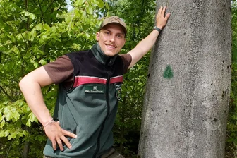 Grüne Dreiecke im Freiberger Stadtwald: Was sie bedeuten - Revierförster Felix Pierschel an einer Buche im Freiberger Stadtwald, die mit einem grünen Dreieck markiert ist – wie rund 1000 andere Bäume auch.