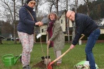 Grüne pflanzen Wildapfel - Ulrike Malek (links) und Roland Küblböck pflanzten mit Ulrike Kahl am Radweg in Pöhla ein Wildapfelbäumchen. 