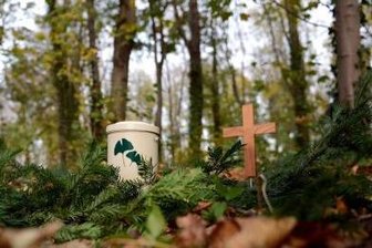 Grüne stellen Antrag auf Bestattungswald -
