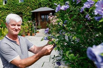 Grüne Wand nützt Klima und Natur - Matthias Beyer setzt auf Pflanzenvielfalt auf dem ganzen Grundstück.
