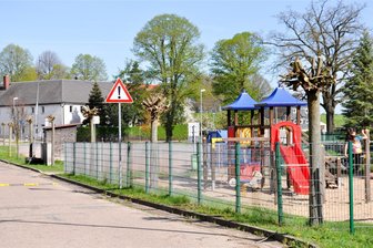 Grünlichtenberg: Warum der Baumschnitt für Empörung sorgt - Die Kugelahorne am Spielplatz und vor der Schule in Grünlichtenberg bieten einen traurigen Anblick. Die Gemeinde hat den radikalen Rückschnitt veranlasst. Einwohner reagierten entsetzt, und manche fürchten um das Überleben der Bäume.