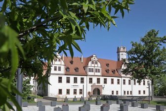 Grünpflege mit speziellen Problemen - Die Kübel am Glauchauer Schlossvorplatz sind neu bestückt worden. Doch noch sind einige leer.