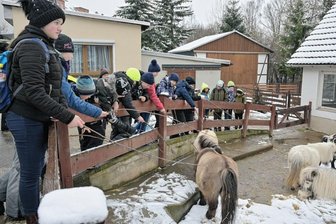 Grundschüler bringen Leckereien für die Minis im Tiergarten -