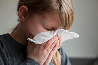 Grundschule Sosa wegen Grippe geschlossen -