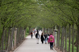 Grundwasserstand in Zwickau auf absolutem Minimum: Sorge um Bäume und Grünflächen - Damit es trotz Starkregen und Dürreperioden weiterhin grün in Zwickau bleibt, muss die Stadtverwaltung immer mehr Arbeit investieren.