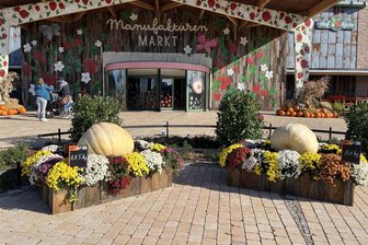 Gruselspaß und Kürbisgiganten bei Karls in Döbeln: Was es in der herbstlichen Saison im Freizeitpark zu entdecken gibt - Die Kürbisgiganten in Karls Erlebnisdorf bei Döbeln bringen 115 Kilogramm und 81 Kilogramm auf die Waage.