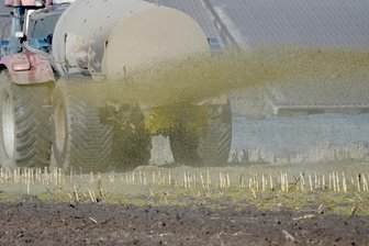 Gülleunfall in Dorfchemnitz: Papierhersteller in Weißenborn meldet Produktionsausfall - Gülle wird in der Landwirtschaft als Flüssigdünger eingesetzt.