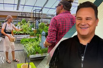 „Guidos Deko Queen“ auf Vox: So hat die Chemnitzer Teilnehmerin abgeschnitten - Guidos Deko-Queen in Chemnitz. Die Kandidatin kaufte auch im Gartenfachmarkt Richter ein.