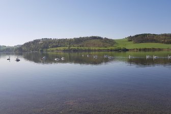 Gute Aussichten für den Sommer im Vogtland: Talsperre Pirk füllt sich wieder - Die Pirk füllt sich wieder.