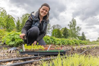 Gute Nachrichten von der einzigen Slowflower-Farm im Erzgebirge - Die Arbeit auf ihrer Slowflower-Farm hat für Claudia Haase etwas Meditatives. So beschreibt es die Erzgebirgerin.