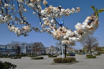 Gutscheine für Impfwillige am Donnerstag im Chemnitz-Center - Am Chemnitz-Center in Röhrsdorf kann man sich am Donnerstag und Freitag spontan am Impfbus impfen lassen. Den ersten 100 Impfwilligen winken Gutscheine.