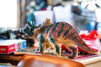 Gymnasiasten aus dem Erzgebirge machen Schätze aus dem Kinderzimmer zu Geld - Neben Büchern oder Schmuck wird auch Spielzeug zum Flohmarkt angeboten.