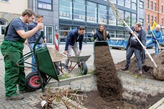 Gymnasiasten packen an: Schulhof der "Anne Frank" soll Schattenplatz bekommen -