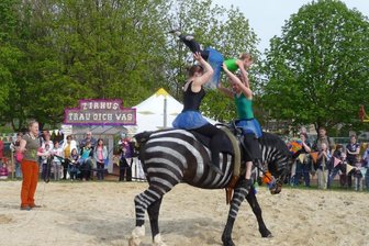 Gymnasium wird zum Zirkus - Die Voltigiergruppe aus Stollsdorf.