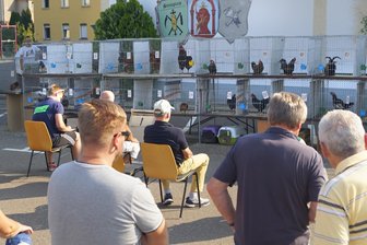 Hähnewettkrähen in Steinpleis - 