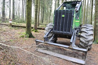 „Hätte so nicht eintreten sollen“: Forstarbeiten im Stadtpark Schöneck gehen weiter - Die Rodungs- und Verschnittarbeiten im Stadtpark Schöneck werden fortgesetzt - bald auch mit schwerer Technik.