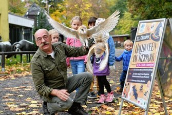 Halloween im Freiberger Tierpark: Wenn es den Besuchern unheimlich wird - Immer noch voller Elan: Seit genau 20 Jahren ist Peter Heinrich Tierparkleiter in Freiberg. Mit seinen beiden Schleiereulen gestaltet er einen Vortrag im Halloween-Programm des Zoos. 