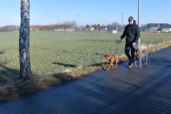 Halsbrücke steigt in Wettlauf um neue Wohnbauflächen ein - Etwa 3,5 Hektar groß ist der Acker westlich des Sportplatzes in Halsbrücke, der Baugebiet werden soll. Die Gemeinde hatte das Land vorausschauend erworben. Aus steuerlichen Gründen wird das Projekt einem Privatinvestor übertragen - die Ausschreibung dazu hat die Firma LSTW Freiberg gewonnen.