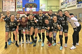 Handball: BSV Sachsen beantragt Erstliga-Lizenz - Der BSV Sachsen Zwickau hat für die Saison 2020/21 die Lizenz für die 1. und 2. Handball-Bundesliga der Frauen beantragt.