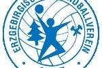Handball: EHV Aue verliert erstes Testspiel - 