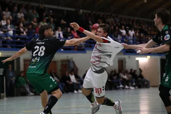 Handball-Regionalliga: HC Einheit Plauen wieder knapp geschlagen - Petr Jahn (am Ball) muss sich hier gegen zwei zupackende Hallenser behaupten.