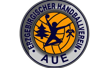 Handball: Sachsenderby zwischen EHV Aue und HC Elbflorenz abgesagt -