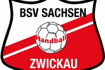 Handball: Trainer der Damen des BSV Zwickau macht sich Sorgen -