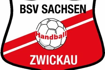 Handballerinnen des BSV Sachsen Zwickau verlieren in letzter Sekunde -