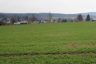 Handelsexperten raten: Pläne an Perlaser Straße von Treuen abspecken - Diese bisher landwirtschaftlich genutzte Fläche an der Perlaser Straße von Treuen soll Standort eines Einkaufszentrums werden.