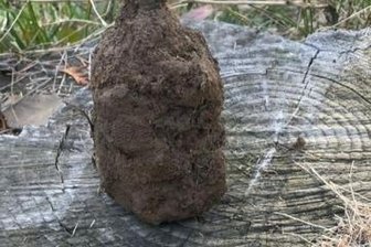 Handgranate entschärft - Dieser Gegenstand war tatsächlich eine Handgranate.