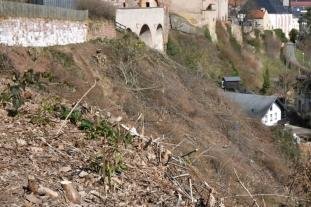 Hang am Schloss durchforstet - 