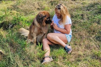 Happy End nach Drama um Schäferhund-Mischling Fritz: Hundesenior hat ein neues Zuhause - Beata Kwiatkowski und Fritz haben sich gesucht und gefunden. Er kann sich auf ihrem Wildtier-Gnadenhof in Oberfranken frei bewegen und begleitet das neue Frauchen auch ins Büro. 