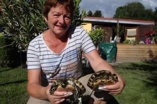 Happyend für Schildkröten und Familie - Gabriele Bergler hat beide Schildkröten wieder. 