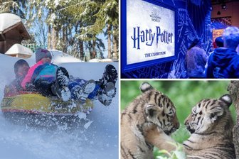 Harry Potter, Ice-Tubing, Zoo-Safari: Sieben Tipps für „Raus aus Chemnitz“ in den Winterferien - Ob Ice-Tubing, Harry-Potter-Schau oder Tierisches: Was man von Chemnitz aus in den Winterferien sachsenweit machen kann.