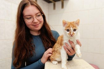 Hartes Schicksal: Tierheim-Team kämpft für schwer kranken Kater Nabucco - Der kleine Kater Nabucco - im Bild mit Nathalie Wagner - muss mit einer Bewegungsstörung und anderen Beeinträchtigungen leben. Doch laut Peggy Kreher, Leiterin des Tierheims "Neu-Amerika", ist er ein Kämpfer.