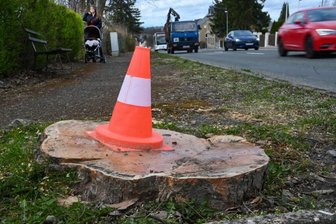 Hartmannsdorf: Nach Ostern starten Bauarbeiten am Chemnitzer Berg - Blick in die Chemnitzer Straße in Hartmannsdorf. Nach Ostern sollen hier auf eine Strecke von 1100 Metern Bauarbeiten beginnen. Einige Bäume wurdenbereits gefällt.