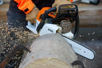 Hartmannsdorfer Forst: Arbeiten entlang der B 169 abgeschlossen - 