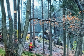 Harvester im Einsatz: Scharfensteiner Straße am Samstag dicht - Schon am vergangenen Samstag wurde an der Scharfensteiner Straße Käferholz mit einem Harvester am Hang entfernt.
