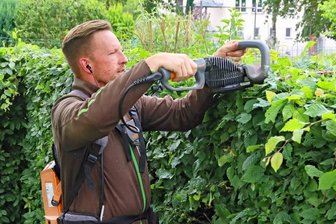 Hecken in der Stadt gestutzt -