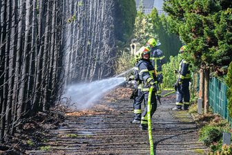 Heckenbrand in Kriebethal: Feuerwehr verhindert Schlimmeres - Eine rund fünf bis sechs Meter hohe und etwa 25 bis 30 Meter lange Hecke musste die Feuerwehr löschen.