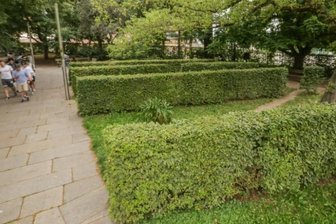 Heckenrasur: Stadt hält an Schnitt im August fest - Die Hecken im Stadthallenpark, die kleine grüne Nischen bilden, sollen gerodet werden.